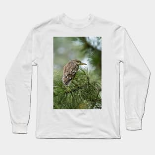 Juvenile Black-Crowned Night Heron Long Sleeve T-Shirt